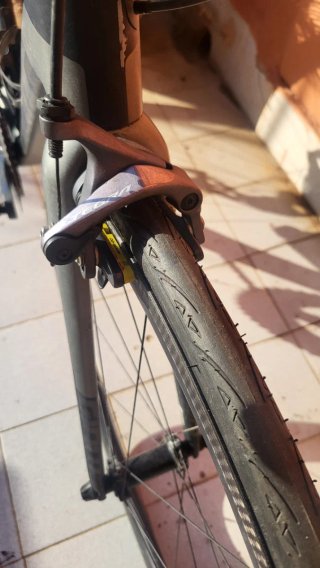 Giant TCR