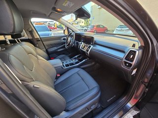 Kia Sorento Sorento 1.6 T-GDi PHEV Emotion 4x4 7 plazas