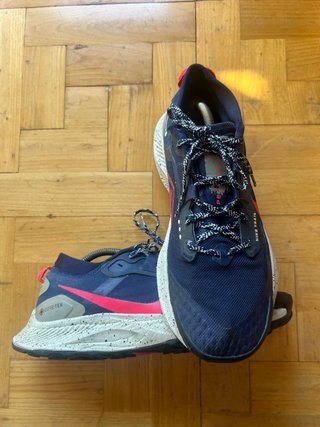 Nike Pegasus Trail 3 Gore-Tex 44