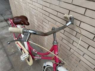 Bicicleta BH Vintage Rosa