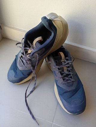 Zapatillas Salomon Elixir Activ