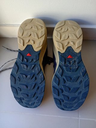 Zapatillas Salomon Elixir Activ