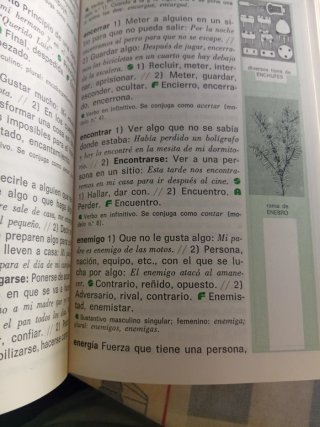 Diccionario Inicial Lengua Espanola primaria