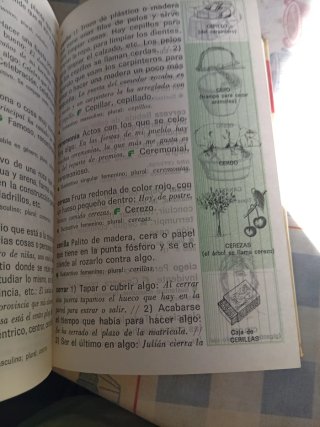 Diccionario Inicial Lengua Espanola primaria