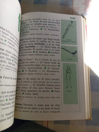 Diccionario Inicial Lengua Espanola primaria