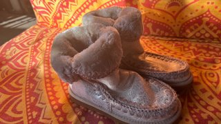 Botas plateadas con adornos de alas tipo Mou