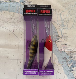 Lote 2 señuelos Rapala Deep Tail Dancer 13cm - 294