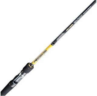 Caña Casting Molix MSK 69 MH