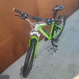 Bicicleta FOCUS RAVEN Talla M