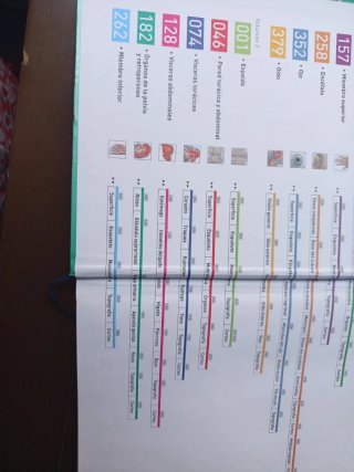 Sobotta. Atlas de Anatomía Humana. Tomo 2. Tron...