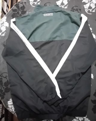 Conjunto deportivo Lacoste