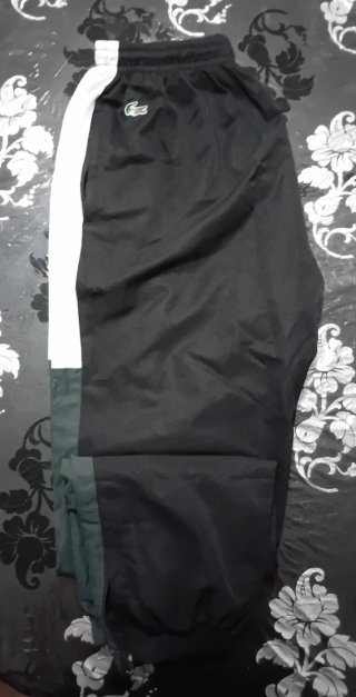 Conjunto deportivo Lacoste