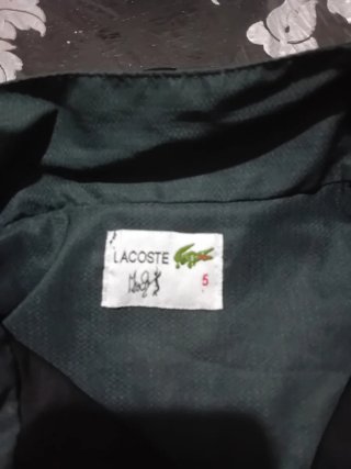 Conjunto deportivo Lacoste