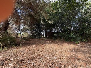 Terreno con agua de manantial a 200m de Betera