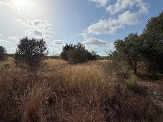 Terreno con agua de manantial a 200m de Betera