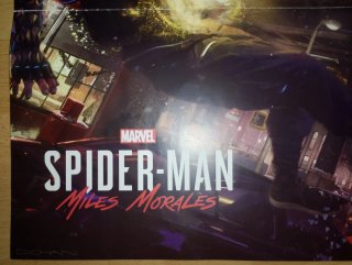Póster Spider-Man Miles Morales Marvel