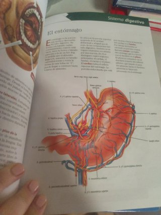 El Cuerpo Humano (Spanish Edition)