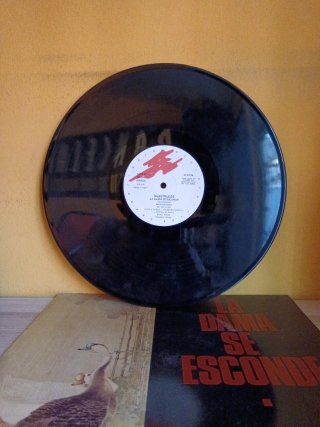 Vinilo EBM remember
