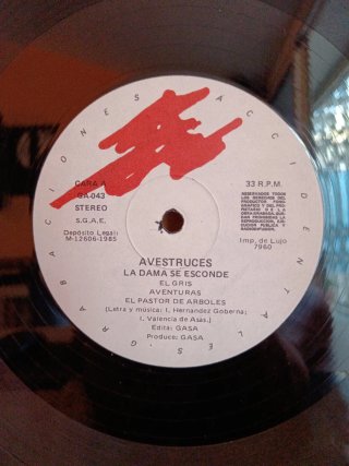 Vinilo EBM remember