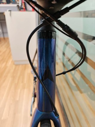 VITUS ZENIUM