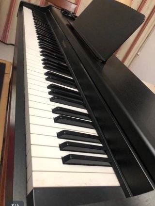 Technics SX-PC8 Piano Eléctrico profesional