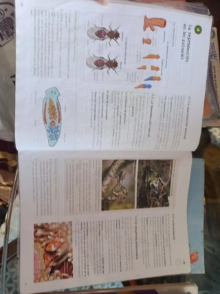 Biología y geología 1ESO