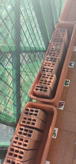 26 Ladrillos para obra