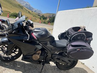 Mochila para moto Bagster perro