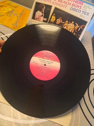 La Grande Storia del Rock Vol. 12 Vinilo