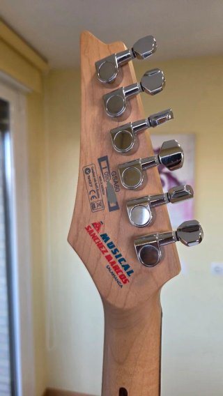 Guitarra Eléctrica Ibanez GIO GSA60