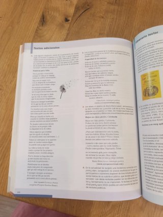 Lengua castellana y Literatura 2o Bachillerato