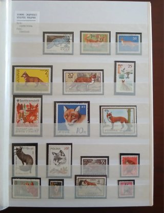 ZORRO LOTE 32 SELLOS VULPES VULPES RAPOSU