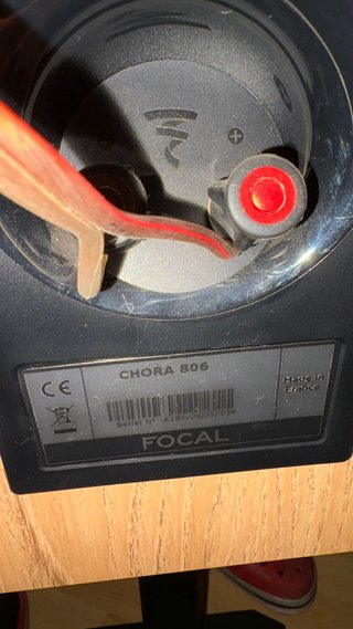 Focal Chora 806 Altavoces