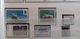 LOBO LOTE 15 SELLOS CANIS LUPUS LLOBU
