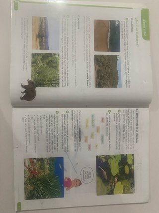 Ciencias de la Naturaleza, 4 Primaria, Revuela