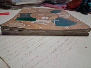 Lengua 6 Primaria : Operación Mundo