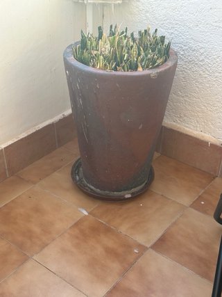 Conjunto Mesa y Banco Jardín Madera y maceteros