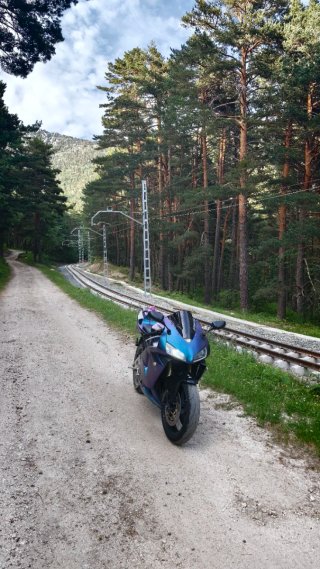 Honda CBR 600 RR PC37 120CV 2005