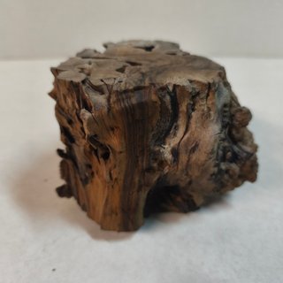 Base para bonsái Olivera 12x9