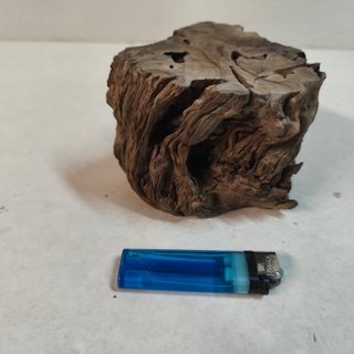 Base para bonsái Olivera 12x9