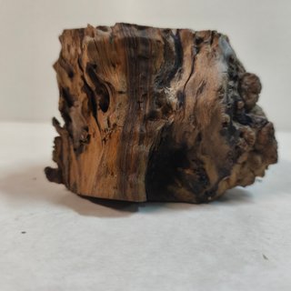 Base para bonsái Olivera 12x9