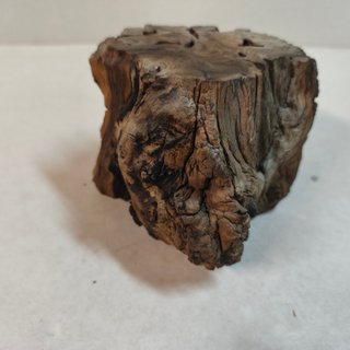 Base para bonsái Olivera 12x9