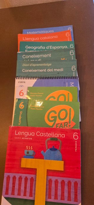 Libros de primaria de sexto todos