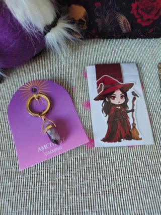 Pack Halloween: Peluche, Funda Literaria y Accesor