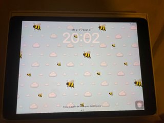 iPad 9ª Gen + Apple Pencil + Funda