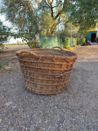 Cesta Esparto Grande