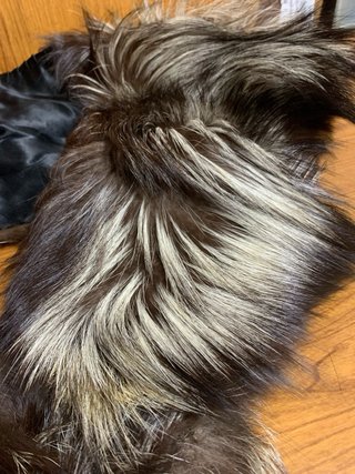Cuello abrigo o Capa de pelo para Fiesta o bodas