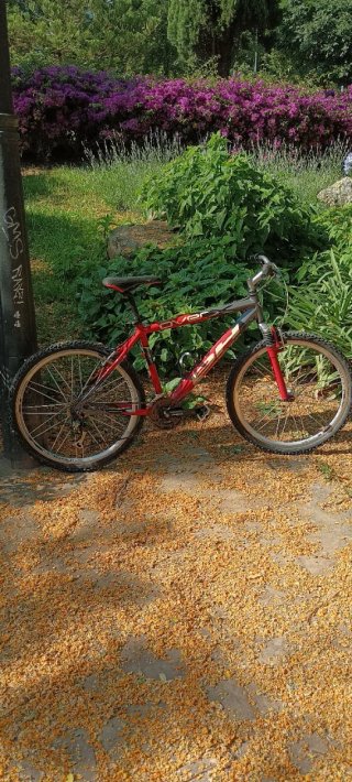 Bicicleta BH Over X