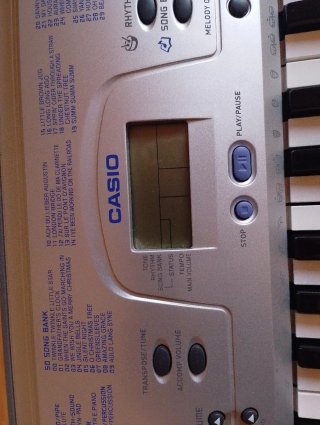 Teclado Casio CTK-230