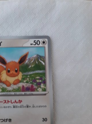 Carta Pokémon Eevee 125/187